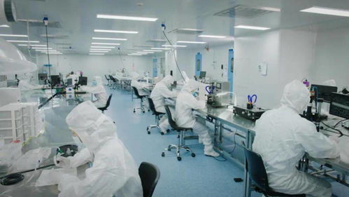 北芯生命遞交招股書 擬募資12.74億元，加速新材料技術(shù)研發(fā)與產(chǎn)業(yè)化進(jìn)程